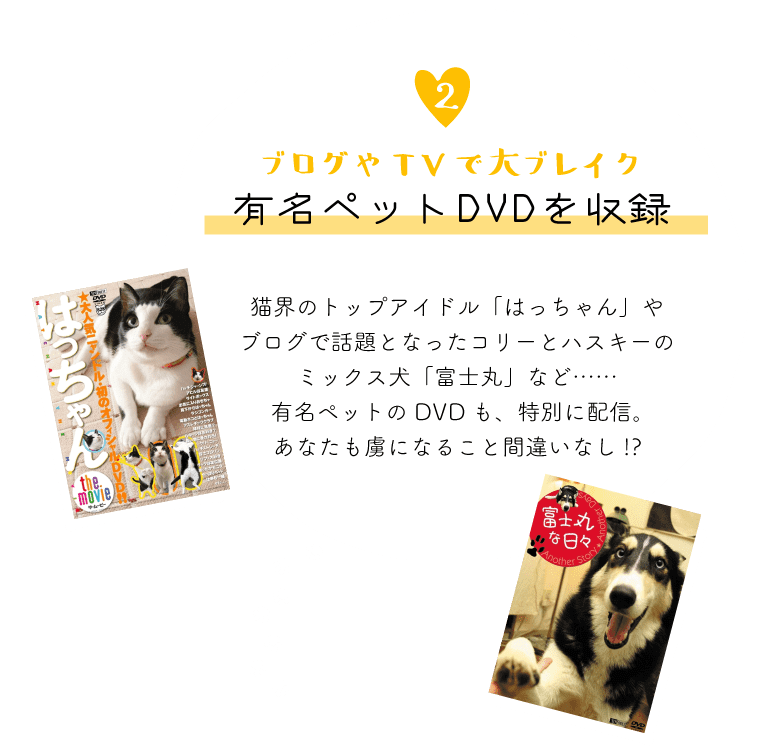 【２．ブログやTVで大ブレイク、有名ペットDVDを収録】猫界のトップアイドル「はっちゃん」やブログで話題となったコリーとハスキーのミックス犬「富士丸」など……有名ペットのDVDも、特別に配信。あなたも虜になること間違いなし！？