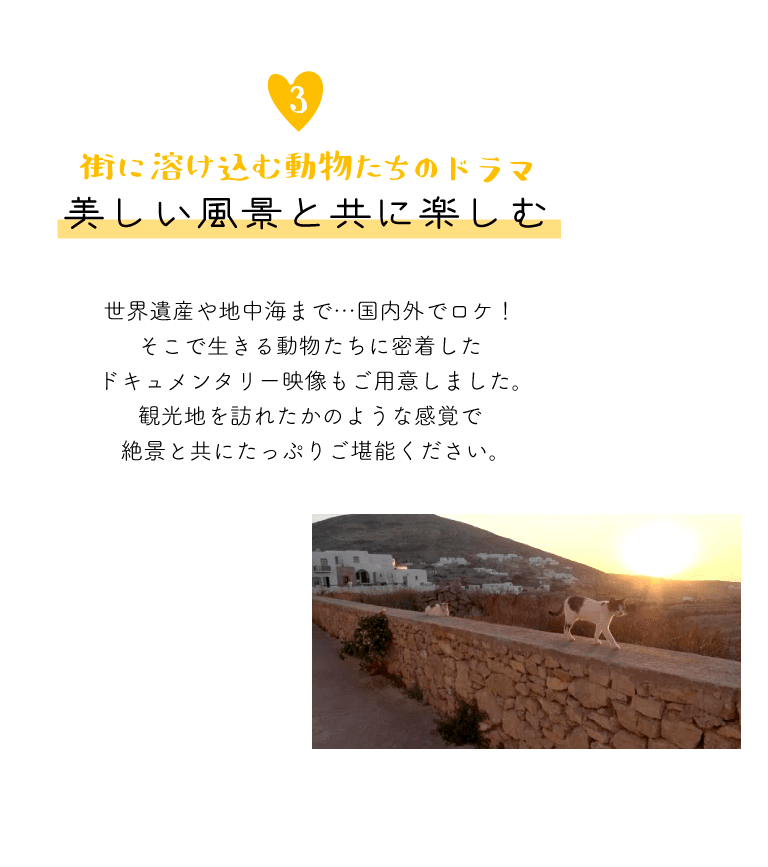 【３．街に溶け込む動物たちのドラマ。美しい風景と共に楽しむ】世界遺産や地中海まで…国内外でロケ！そこで生きる動物たちに密着したドキュメンタリー映像もご用意しました。観光地を訪れたかのような感覚で絶景と共にたっぷりご堪能ください。